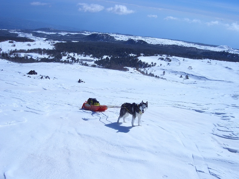 Etna Nord, Bal fa il suo lavoro.