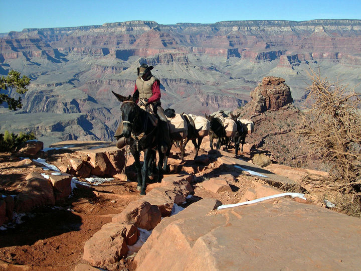 grand canyon