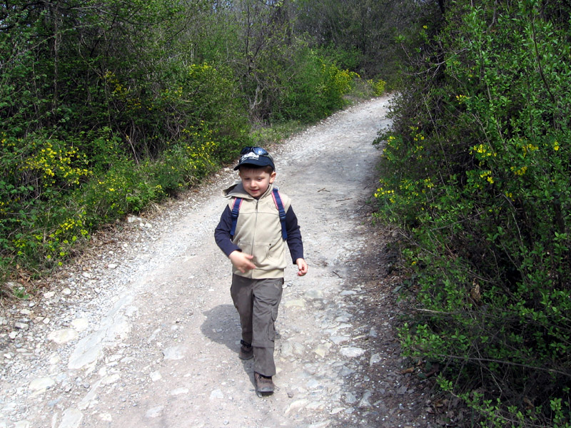 Monte Alto