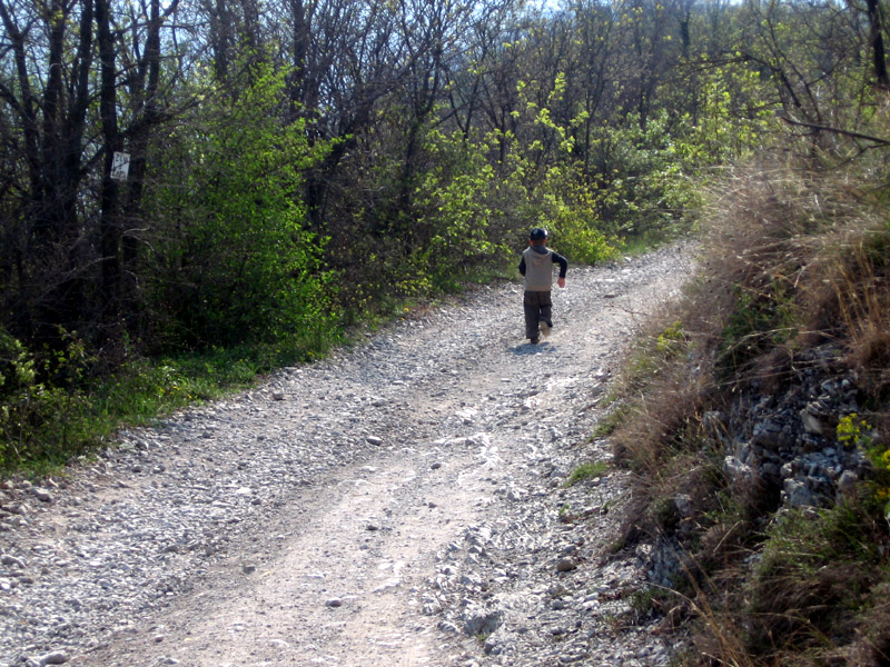 Monte Alto