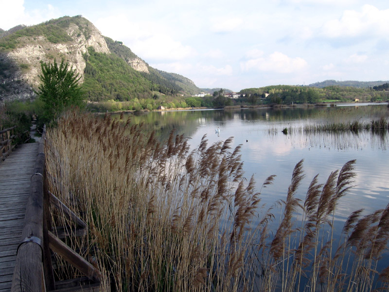 Torbiera di Iseo