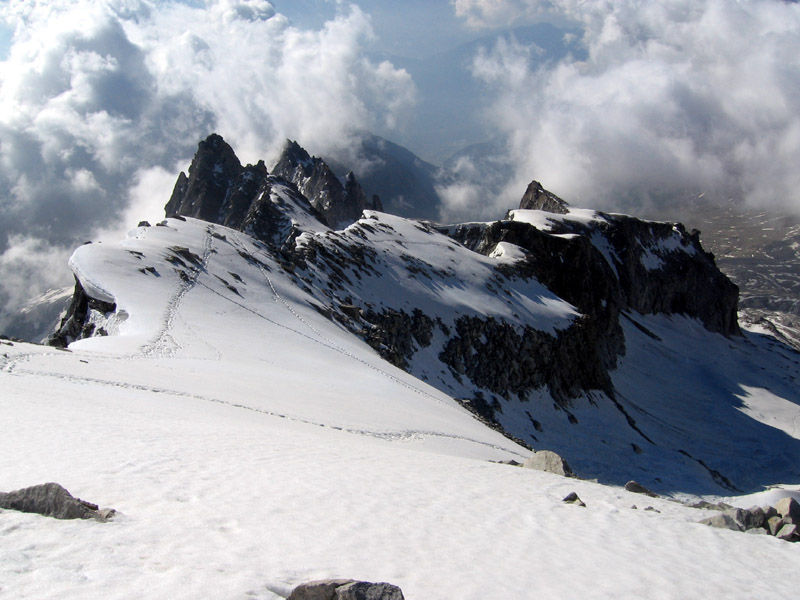 Presanella parete nord est Presanella parete nord est