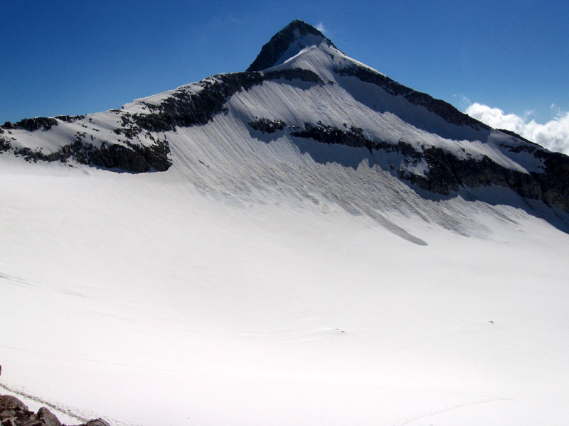 Presanella parete nord est