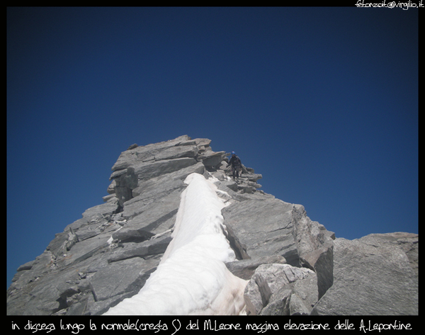 Leone