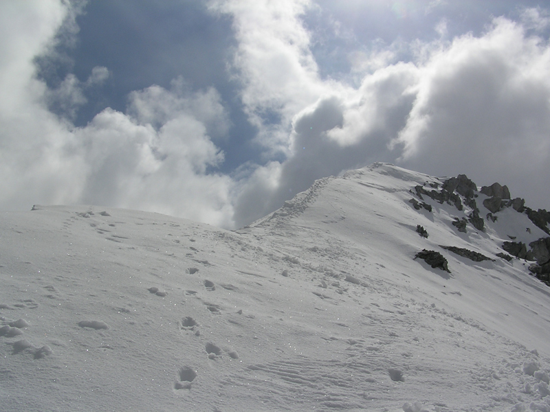 PRESENA - Cresta finale PRESENA - Cresta finale