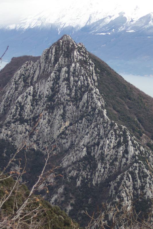 8-2-2009 Monte Pizzocolo (BS) 8-2-2009 Monte Pizzocolo (BS)