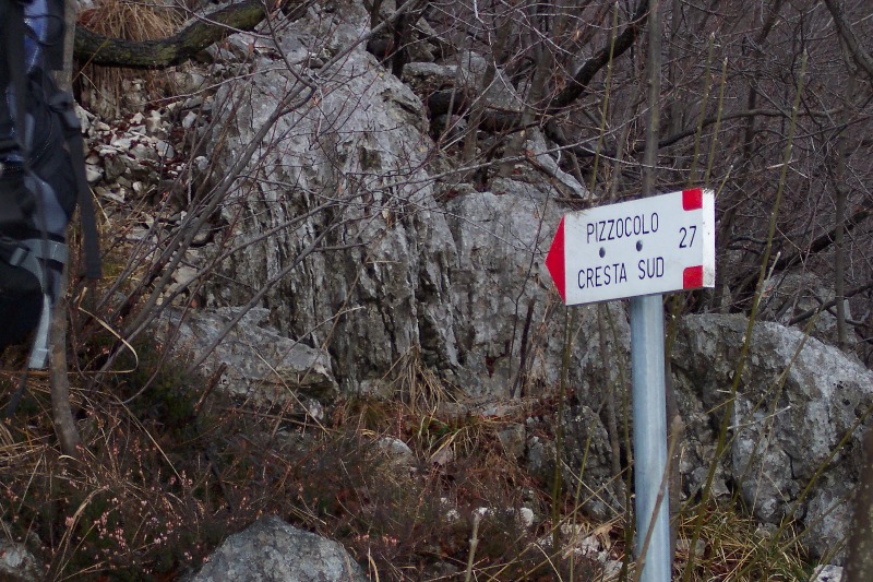 8-2-2009 Monte Pizzocolo (BS) Gruppo GAMASS 8-2-2009 Monte Pizzocolo (BS) Gruppo GAMASS