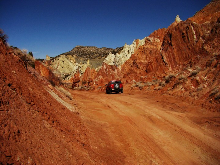 the cockscomb, UT