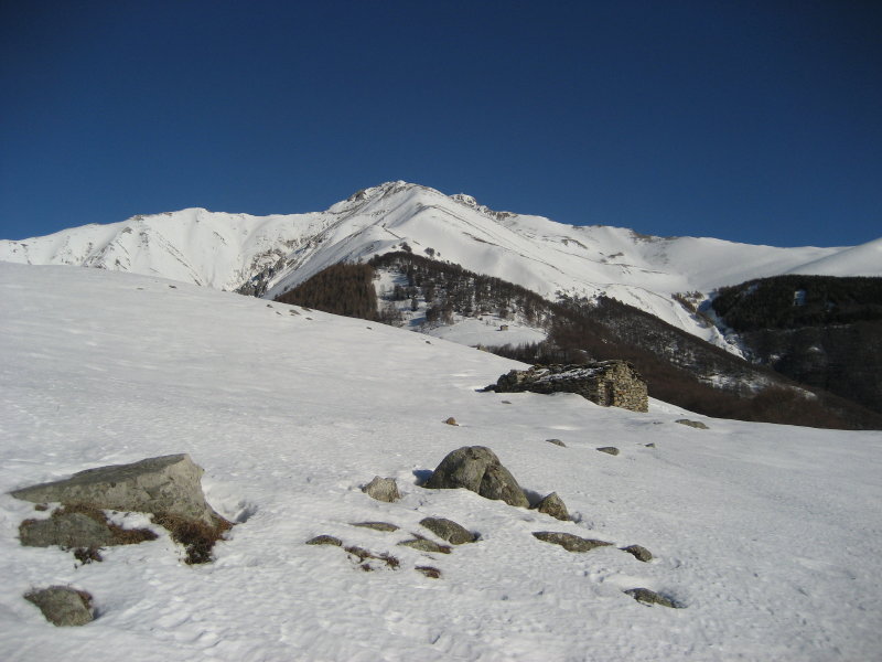 Corveggia-05