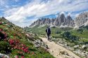 Scesi da cima e rifugio Pisciad, ritorno tra i rododendri